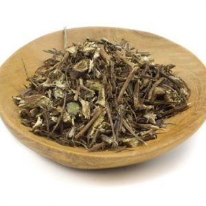 Echinacea Root