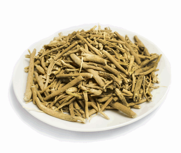 Ginseng Indian